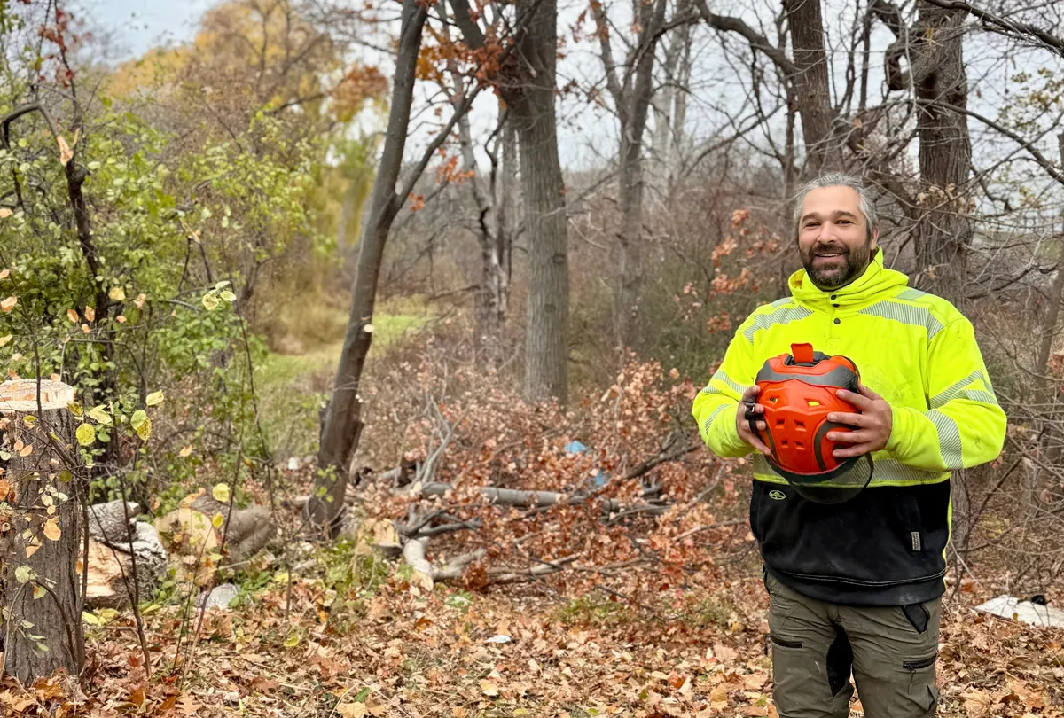 Arborist in a yellow hi-vis jacket holding a helmet on a cleared wooded site